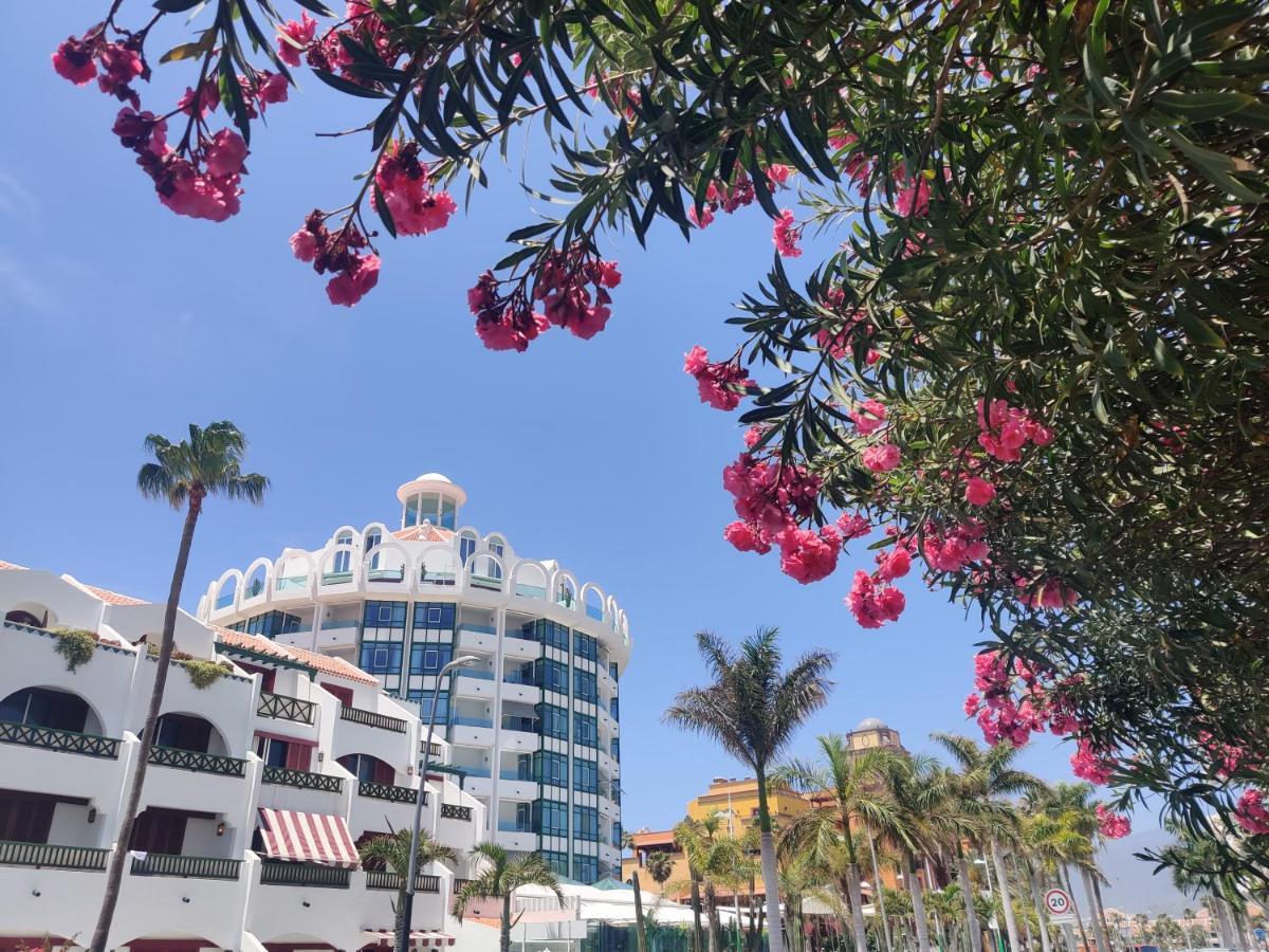 美洲海滩Seafront New Modern公寓 外观 照片