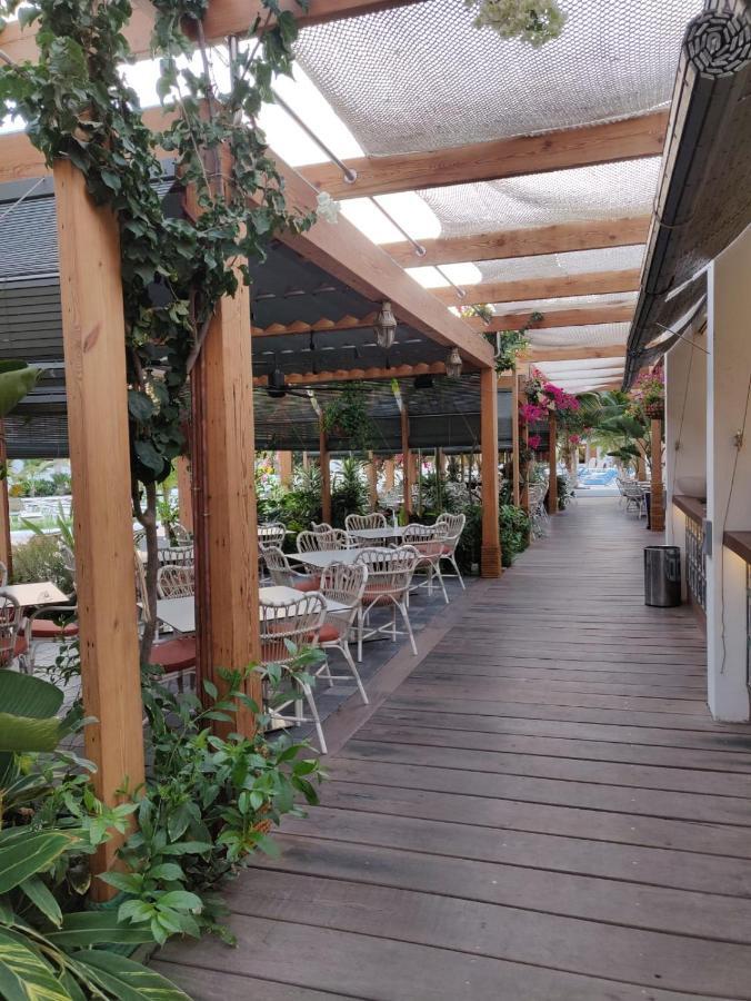 美洲海滩Seafront New Modern公寓 外观 照片